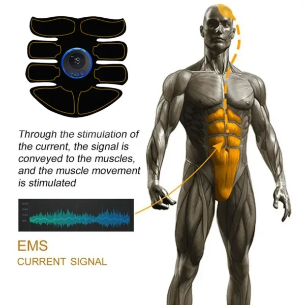 EMS Stimolatore Muscolare Elettrico - immagine 3