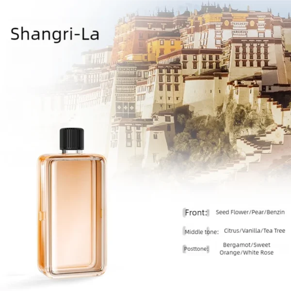 Atomizzatore di Fragranza Aromaterapia con Display Digitale, 7 Velocità Regolabili, Macchina per Aromaterapia Perfetta per Shangri-La e Hilton, Profumo per Ambienti e Relax - immagine 12